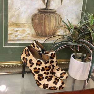 Zara Women Cruise Collection Leopard Heel Booties!